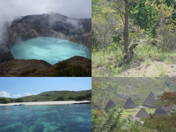 Tourism Flores Komodo